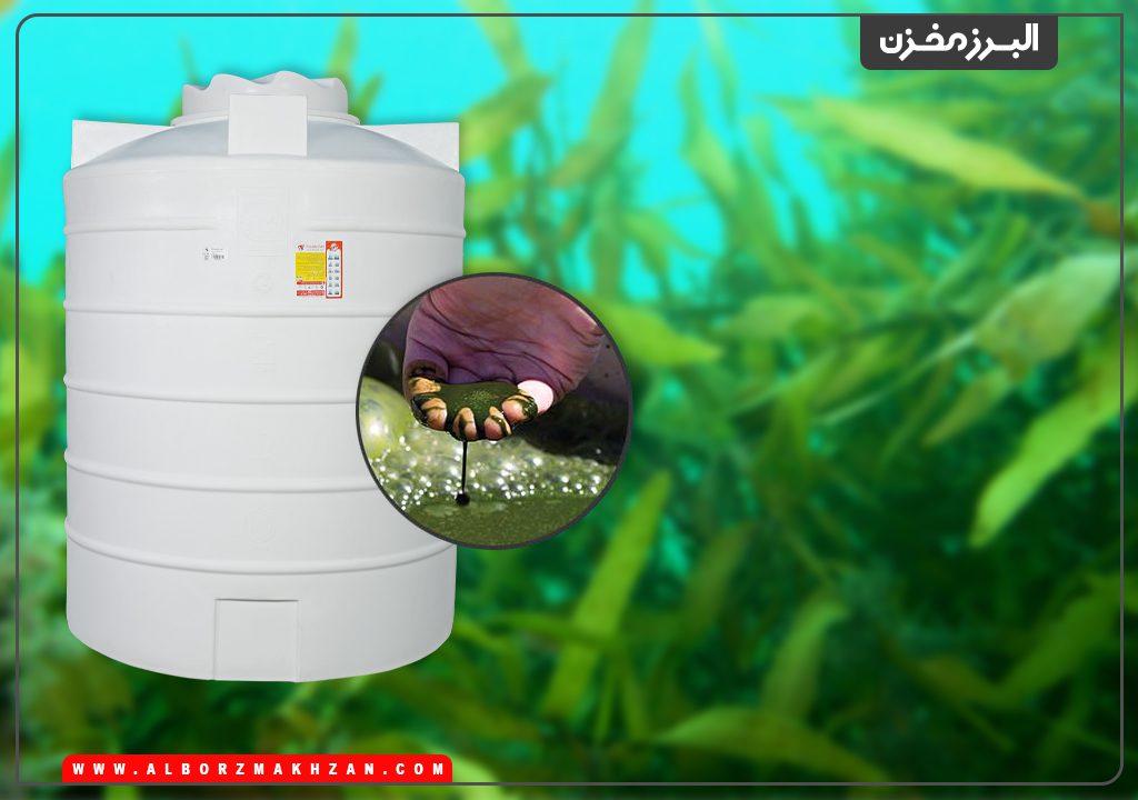 چه کنیم تا مخزن آب جلبک نزد؟