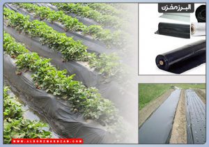 مالچهای پلاستیکی و آلی