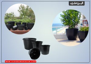 گلدانهای پلاستیکی برای نهال درختان