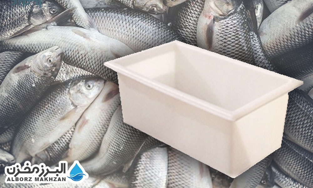 پرورش ماهی در وان صنعتی