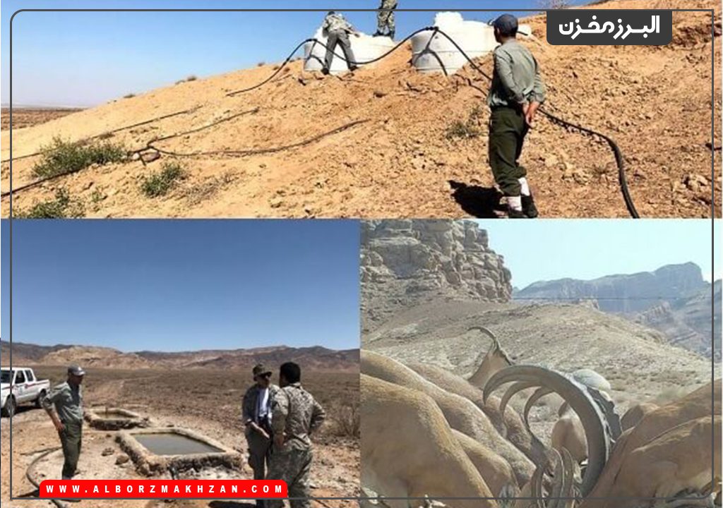 نصب مخزن آب حیات وحش